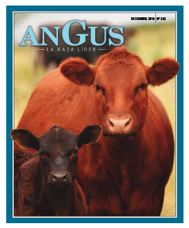 Revista Angus Nº 282 - diciembre 2018