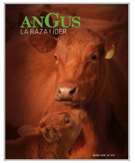 Revista Angus Nº 279 - mayo 2018