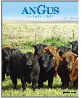 Revista Angus Nº 280 - julio 2018
