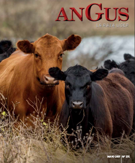 Revista Angus Nº 275 - mayo 2017